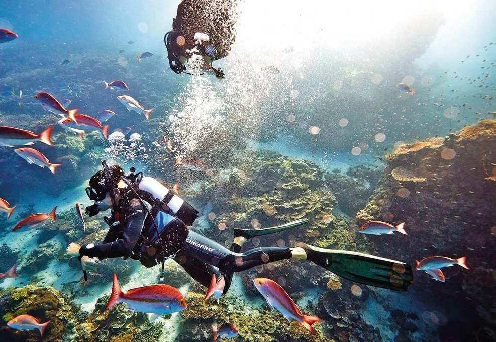 Boat and volunteers preparing for eco dive